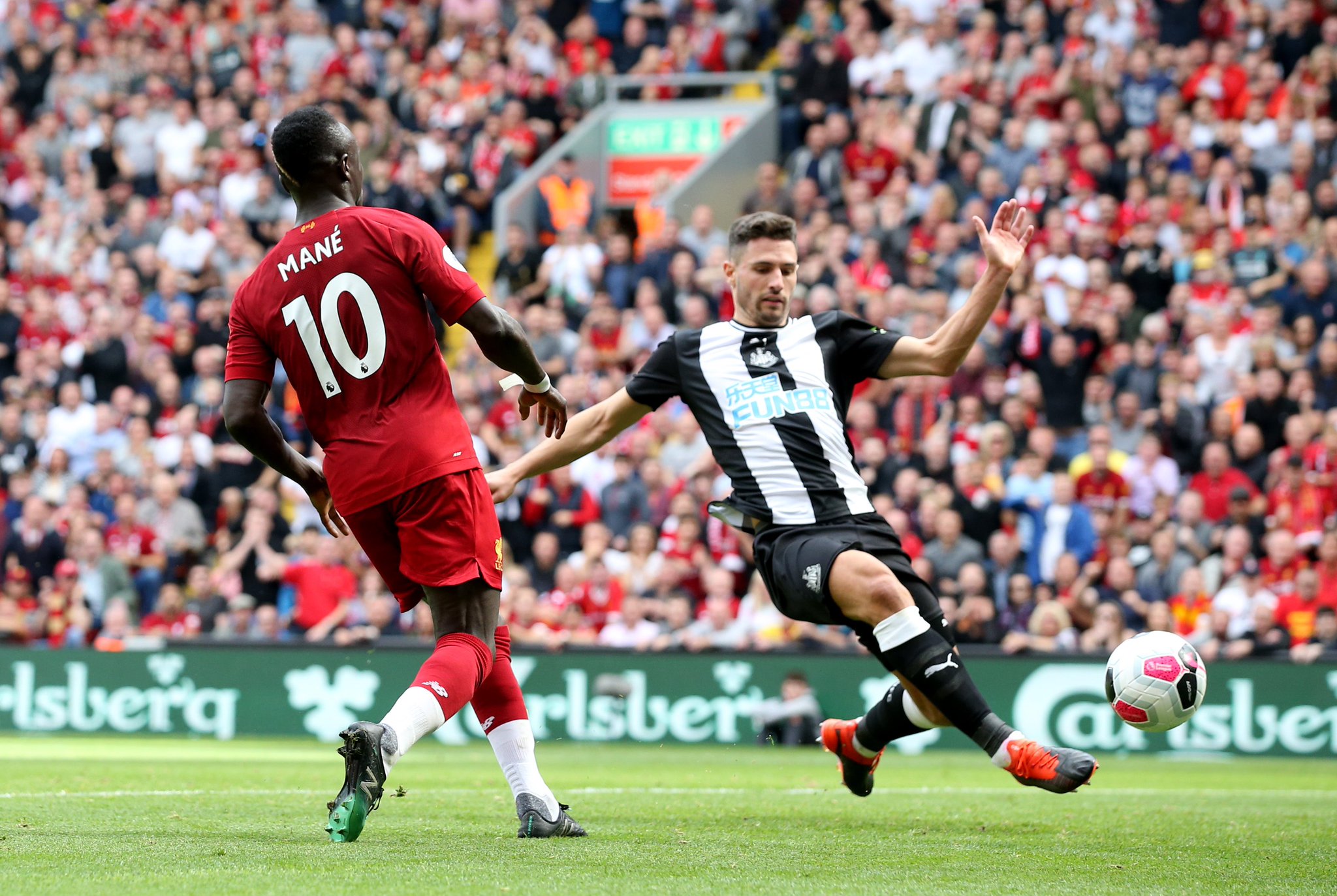 他们的激烈 他们的激烈